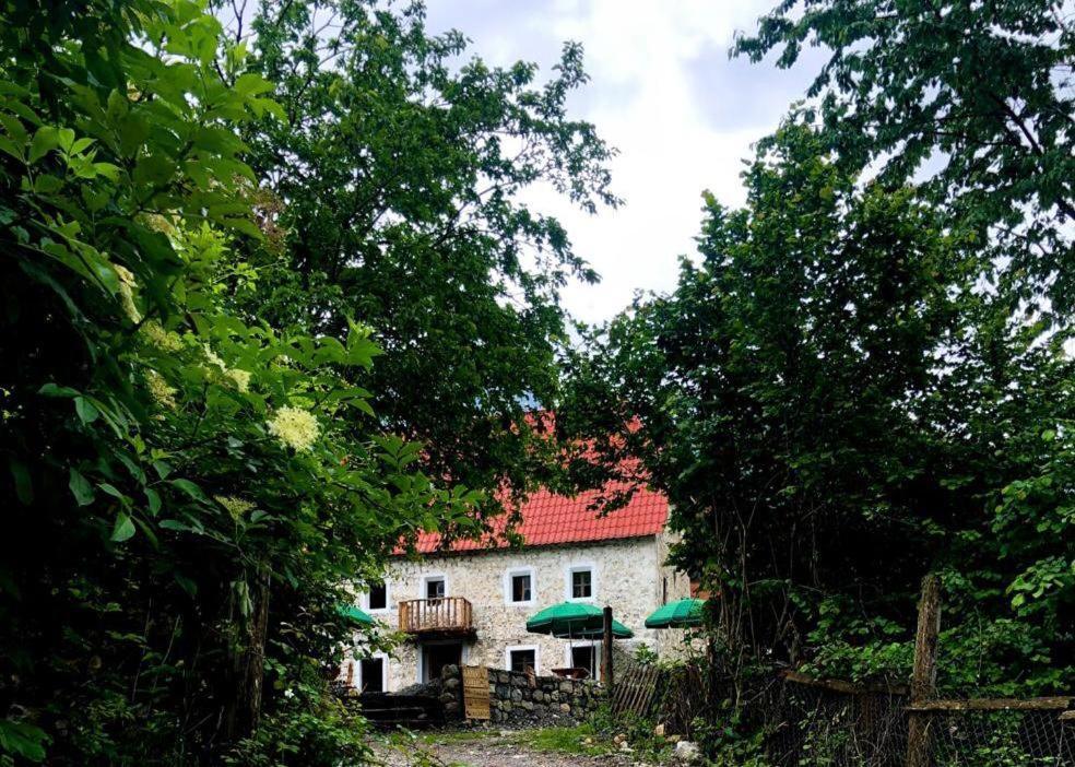 Guesthouse Kujtimi Theth Bagian luar foto